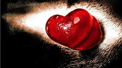 powerful love spells in netherlands 7